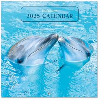 Calendario Pared 2025 30x30 cm Delfines Multicolor con Planificador Mensual y Espacio para Anotaciones