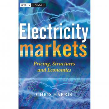 Electricity Markets: Pricing, Structures and Economics (Hardback)