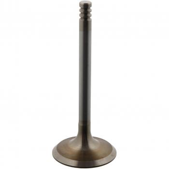 Válvula de admisión FEBI BILSTEIN 37220