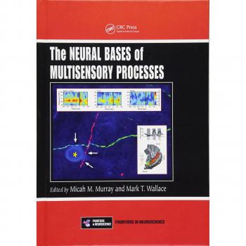 Multisensory Process Neural Foundations Guide