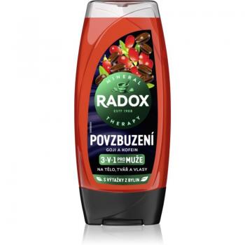 Radox Men Invigorating Shower Gel 3-in-1 225 ml