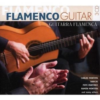 Flamenco Guitar