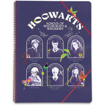 Carpeta de 30 fundas A4 Harry Potter con diseño temático, capacidad para documentos tamaño A4, material resistente y duradero, cierre seguro y fácil acceso a las fundas