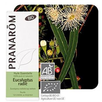 EUCALIPTO RADIATA HOJA 100 ml BIO