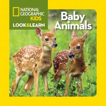 National Geographic Kids Baby Animals: A Fun and Educational Exploration of Wildlife for Young Readers