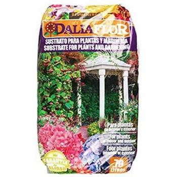 Dalia Flor Sustrato, Negro