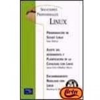 El kernel 2.4 de linux