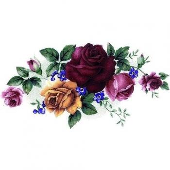 2er Set - DE China - Taza de café, café de pasta, de cacao - taza tölzer - taza con diseño de rosas y flores