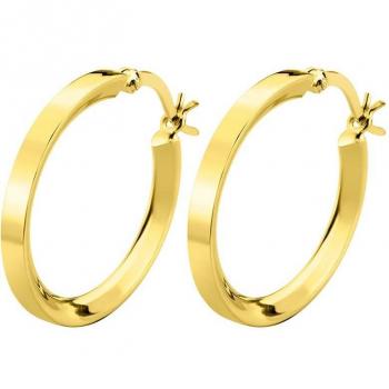 Pendientes De Aro Time Road WS03007/25 Plata, Mujer