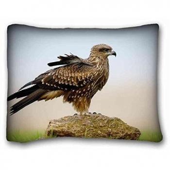 Custom ( Animals birds animals eagles ) Zippered Body Pillow Case Cover Size 20X26 suitable for Queen-bed PC-Bluish-47393