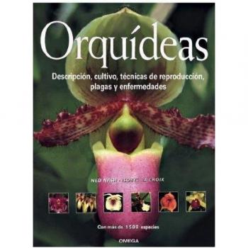 ORQUIDEAS