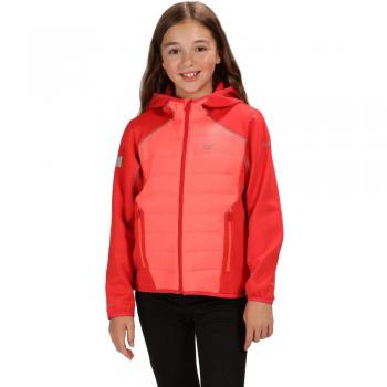 Regatta Kielder IV Extol - Chaqueta de Forro Polar para niños, Infantil, Color Coral Blue/Fiery Coral, tamaño 5-6