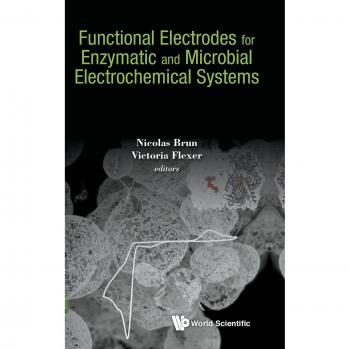 Functional Electrodes For Enzymatic And Microbial Electrochemical Systems