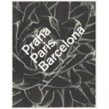 Josep Tapiró: Pintor de Tánger