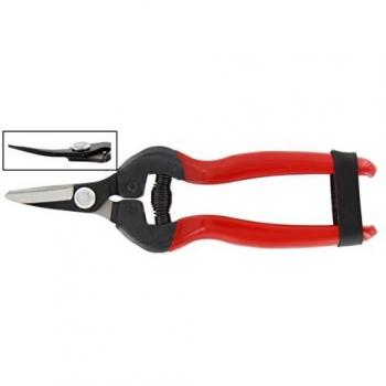 Tijeras Profesionales para Uva con Lamas Curvas de Acero Inoxidable