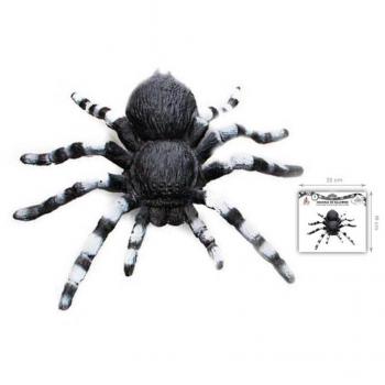 Partilandia Tarántula de patas blancas de 18x12 cm