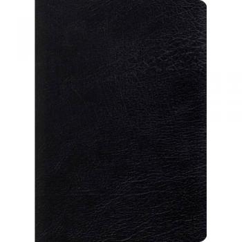 ESV Study Bible, Large Print