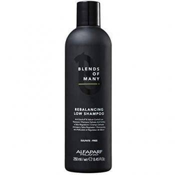 Alfaparf Milano Blends Of Many Rebalancing Low Shampoo