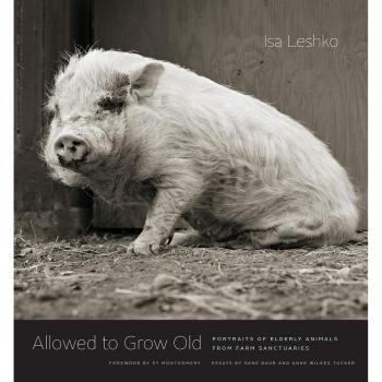 Allowed to Grow Old: Portraits of Senior Farm Sanctuary Animals