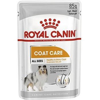 Royal Canin Coat Care - Comida húmeda para perros adultos, 48 x 85 g, ayuda a mantener el pelaje brillante y saludable