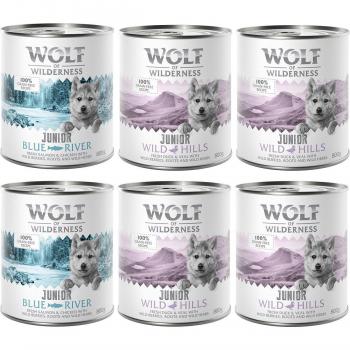 Wolf of Wilderness Junior Pack mixto: 4x Pato y ternera, 2x Pollo y salmón (6 x 800 g)