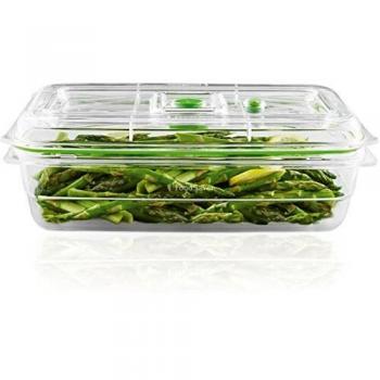Foodsaver FFC010X Recipiente para envasar al vacío, 2,3 L, 2.3 litros, Plástico, Transparente y Verde