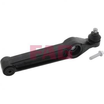 FAG control arm 821 0289 10 - Barra oscilante de suspensión de ruedas, fabricada por FAG, diseñada para proporcionar estabilidad y soporte en la suspensión del vehículo, con un número de pieza específico 821 0289
