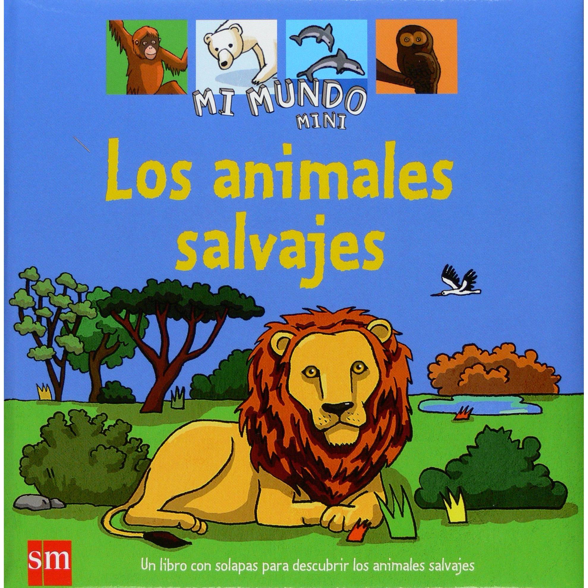 Imagen Principal