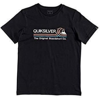 Quiksilver Stone Cold Classic - Camiseta para Chicos 8-16 Screen tee, Niños, Black, S/10