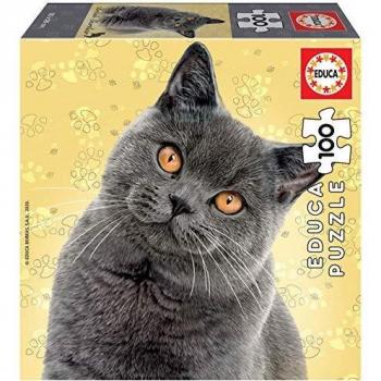 Educa - Cube Puzzles de 100 Piezas, puzzle infantil British Shorthair, a partir de 6 años