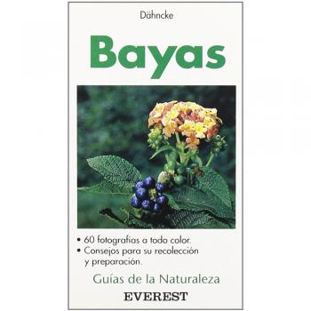 Bayas