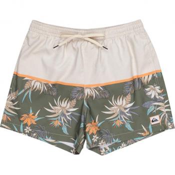 Quiksilver - Short de Natación de hombre Life On The Reef 15'