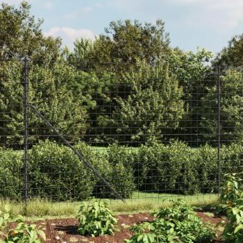 Cerca de alambre de acero galvanizado 1,8x25 m color verde y antracita, perfecta para plantas y animales, múltiples usos como malla para ventilación, seguridad, ventana y jardín