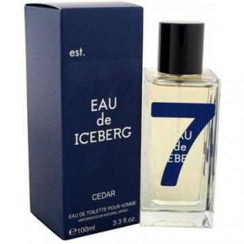Perfume Hombre Eau De Iceberg Cedar 100 ml EDT