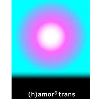 (h)amor 6 trans: 24 (La pasión de Mary Read