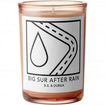 Big Sur After Rain Scented Candle 200g