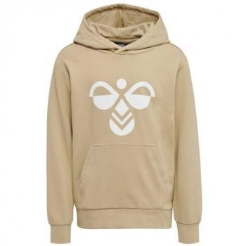 Hummel Cuatro Children's Hoodie with Hood