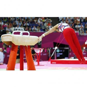 Pommel Horse (39x24 inch, 98x60 cm) Silk Poster Seda Cartel PJ1E-306A