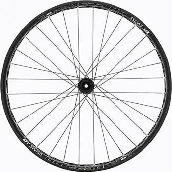 DT Swiss BR 2250 Classic Fat Bike Rear Wheel 26 - 197/12mm Thru Axle, Aluminum, Disc Compatible
