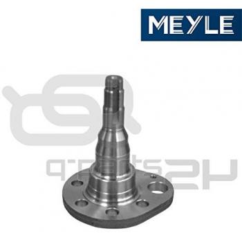 MEYLE Muñón del eje, suspensión de rueda 100 501 0036 para SEAT Ibiza, Cordoba, Toledo, Arosa y VOLKSWAGEN Golf, Polo, Vento, Passat