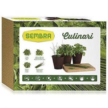 Sembra Kit Culinari para adultos.