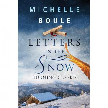 Cartas en la Nieve: Arroyo Giratorio 3, por Michelle Boule