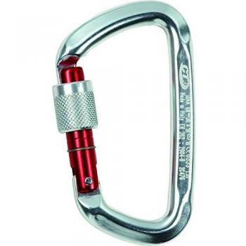 Climbing Technology D-Shape SG - Mosquetón en Forma de D con Anilla, Color Plateado
