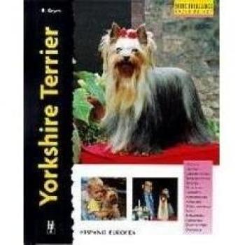 YORKSHIRE TERRIER