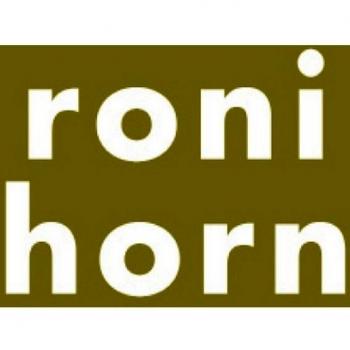 Roni Horn: Todo dormía como si el universo fuera un error