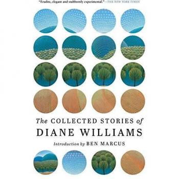 Cuentos Completos de Diane Williams