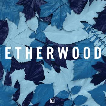Etherwood - Blue Leaves (Vinyl 2LP + CD - 2015 - UK - Original Edition)