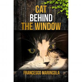 Gato Detrás de la Ventana - Obra de Francesco Marincola