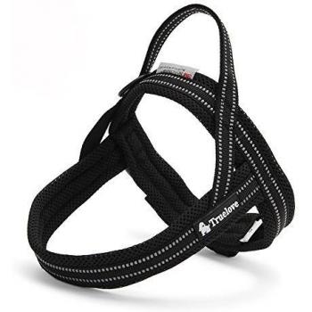 Treat Me Arnes del Perro Para viajar con el Perro en coche de Nylon todo Tamaño