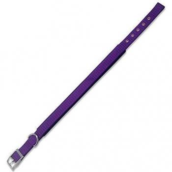Collar nylon morado - 2,5 x 53 cm